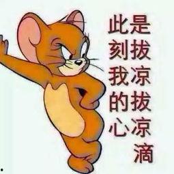 饭后娱乐吃瓜群众图片,揭秘“吃瓜群众”的欢乐时光